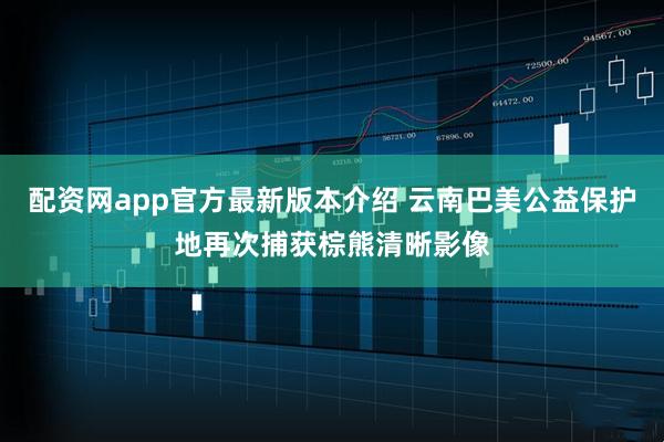 配资网app官方最新版本介绍 云南巴美公益保护地再次捕获棕熊清晰影像
