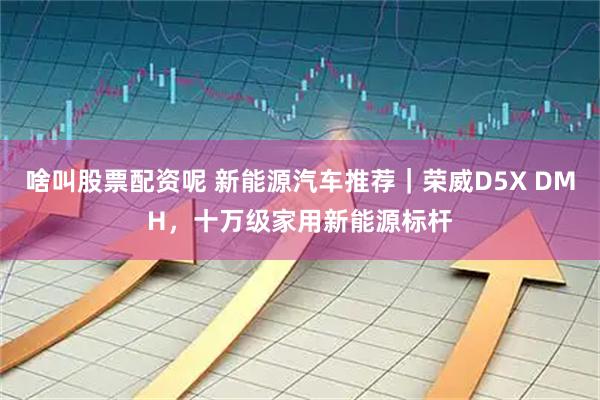 啥叫股票配资呢 新能源汽车推荐｜荣威D5X DMH，十万级家用新能源标杆